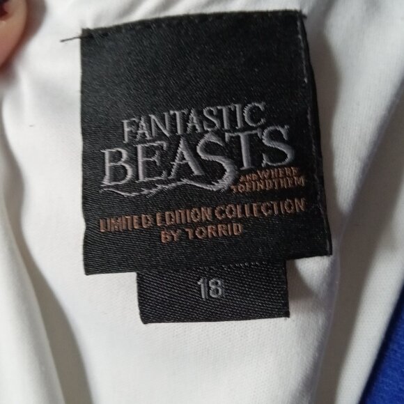 Hot topic Fantastic Beast Retro style Dress - Picture 15 of 15
